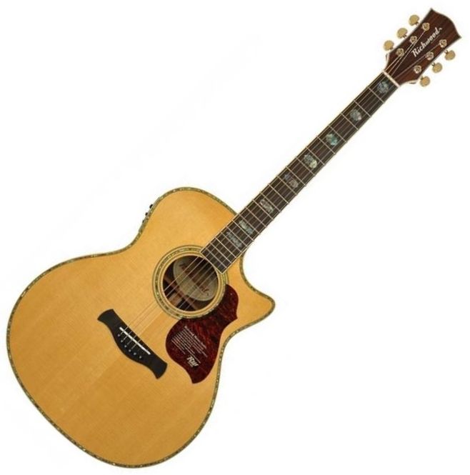 Hovedbilde Richwood G-70CEVA Master Series Grand Auditorium