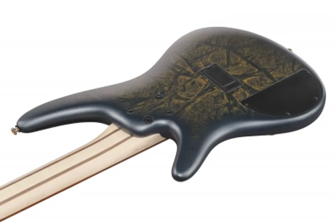 Ibanez SR305EDX-FDM (Frozen Matte) 5-str.