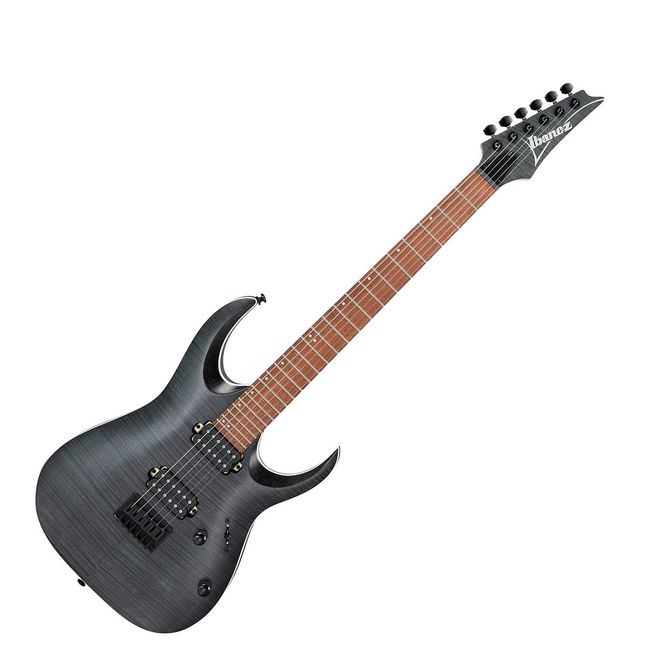 Hovedbilde Ibanez RGA42FM-TGF